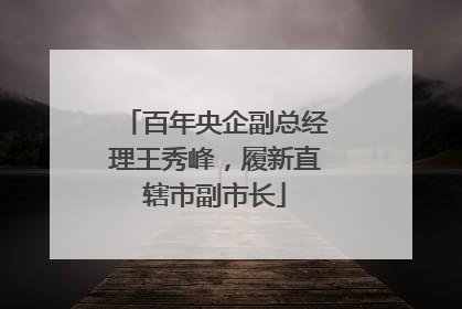 百年央企副总经理王秀峰，履新直辖市副市长